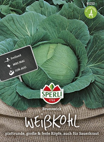 Weißkohl brunswick - weißkohl,
