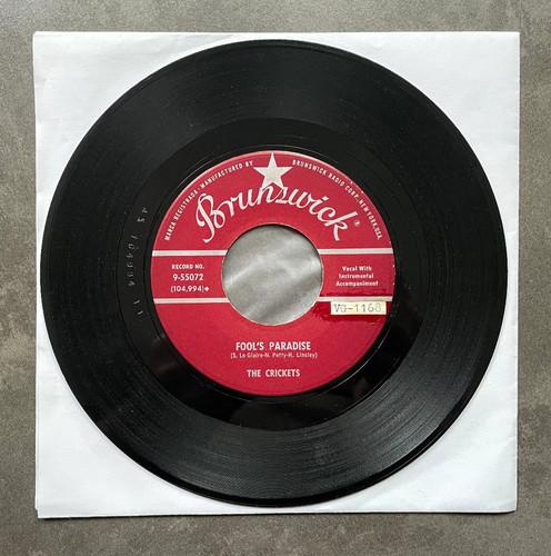 Buddy holly fool - -, fool's