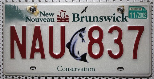 New brunswick nummernschild - new,