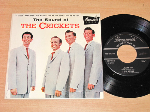 The crickets - crickets, sound