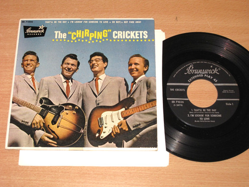 The crickets - the, –