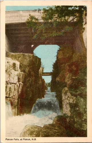 Old vintage postcard pokiok - postcard,