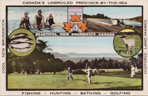 Beautiful new brunswick golf - brunswick,
